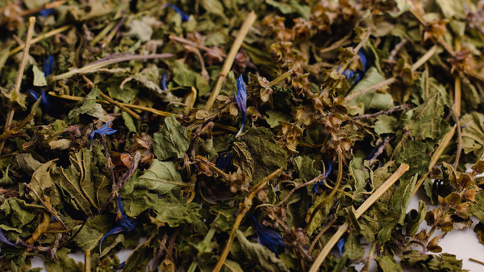 Thumbnail: “ I AM” All – Seeing