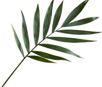 PngItem_49943.png