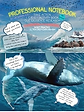 Professional Activity Book Blue Whales.png