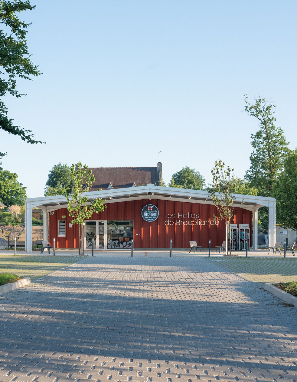 DSCF3050.jpg