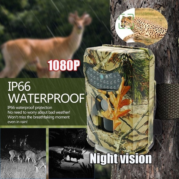 wish trail camera