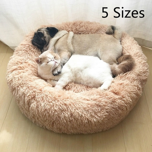 wish ghost hunting dog bed