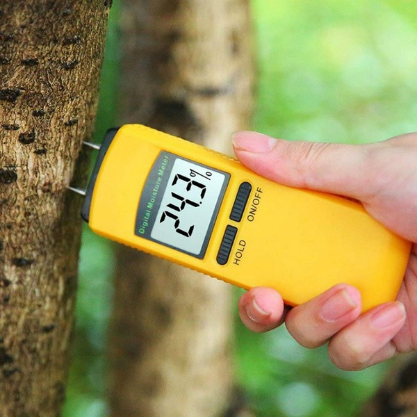wish moisture detector ghost hunting