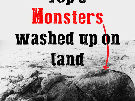 Top 3 Monsters washed up beside rivers and on beaches