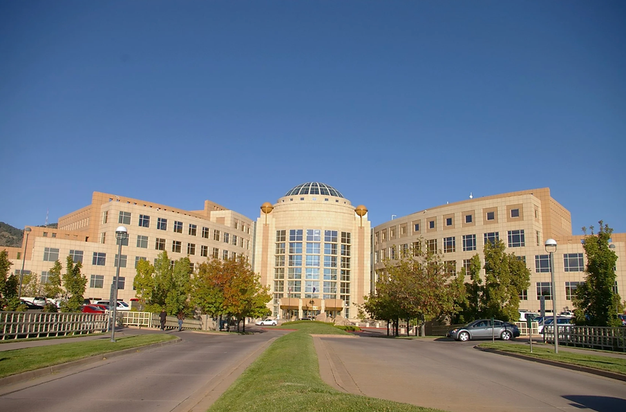 Nick Lobelo Background.png