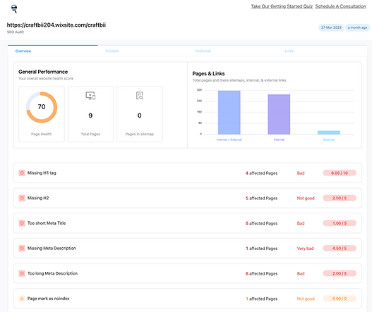 Website SEO Audit Example 2