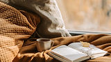Open book, tea cup, and warm blankets by a sunlit window.