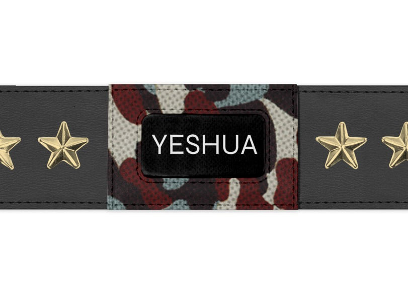 Thumbnail: Stylish wrist accessory with gold star accents