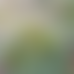 Enhance Your Wellness Routine with Hemp Wellness Solutions