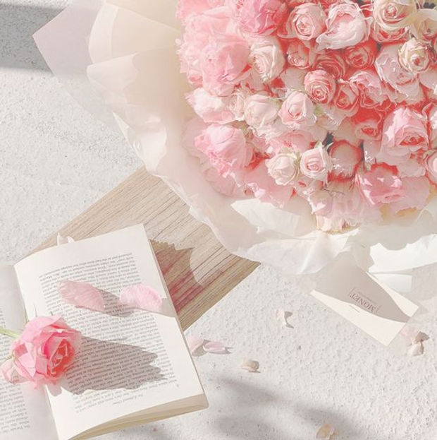 ご 予約 / お問い合わせ