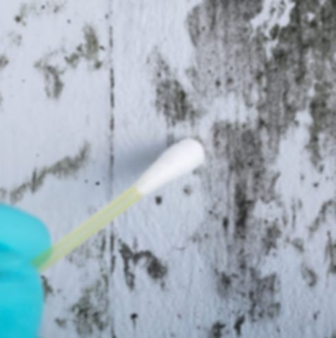 mold-inspection-860x493.jpg