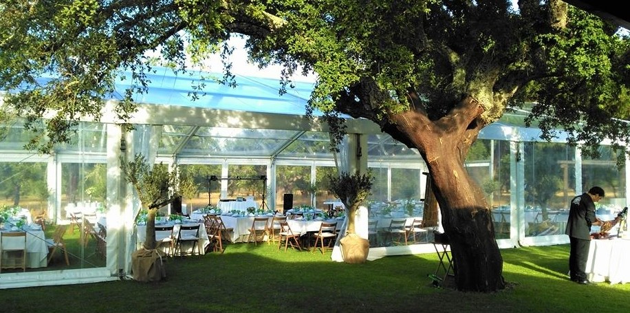 Casamento Alcácer do Sal