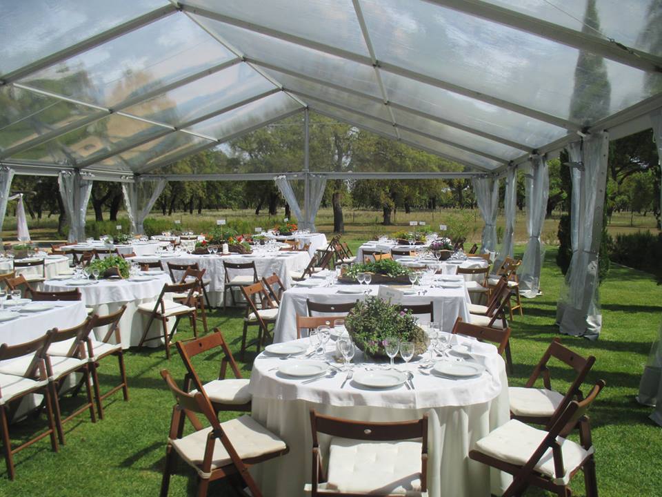 11427692_10153315437794361_5393717159347635856_n