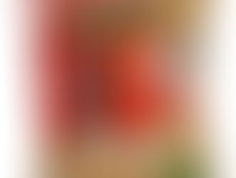 かっぱえびせん　かっぱの一番槍　こんぶしお味