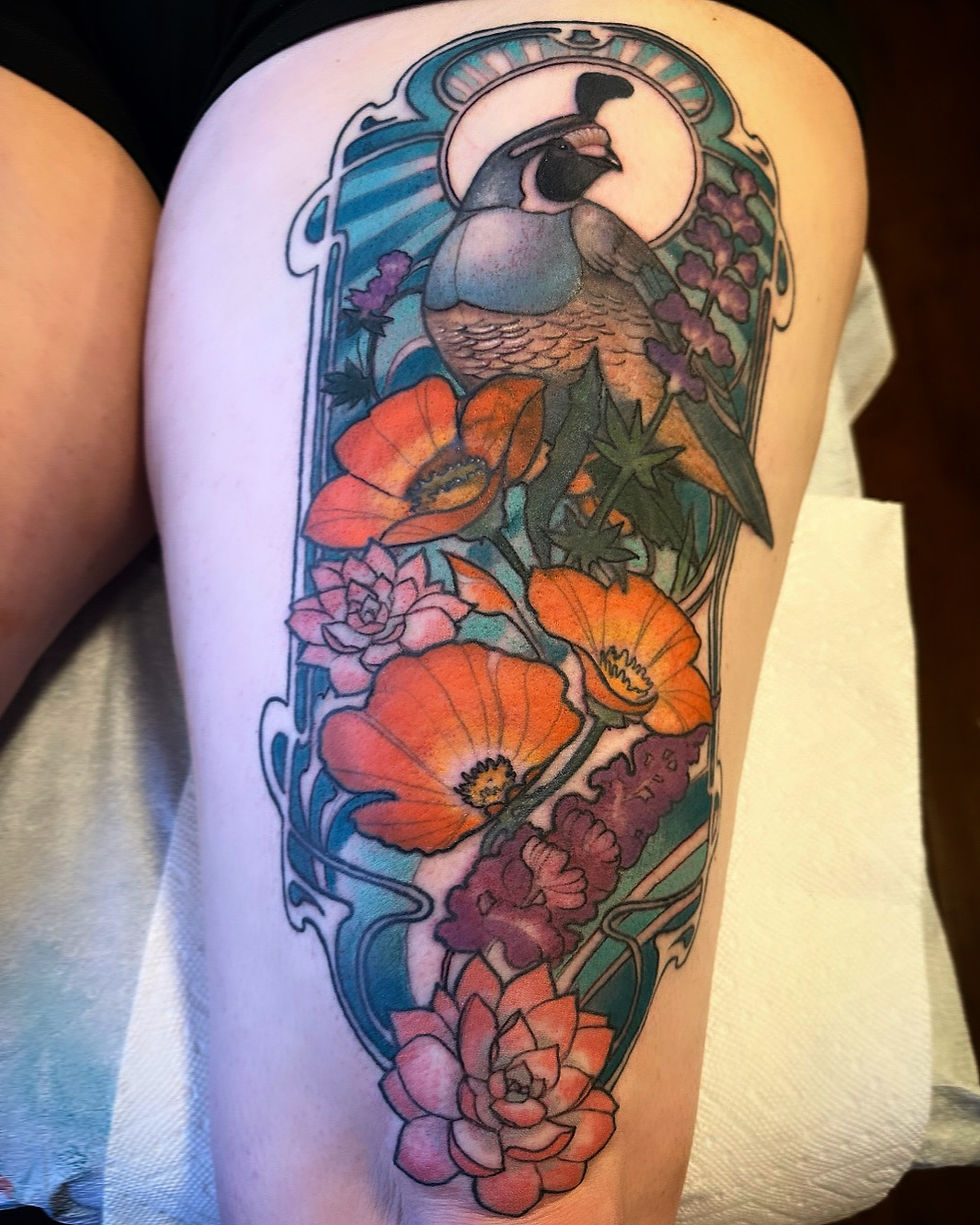quail (cover up)