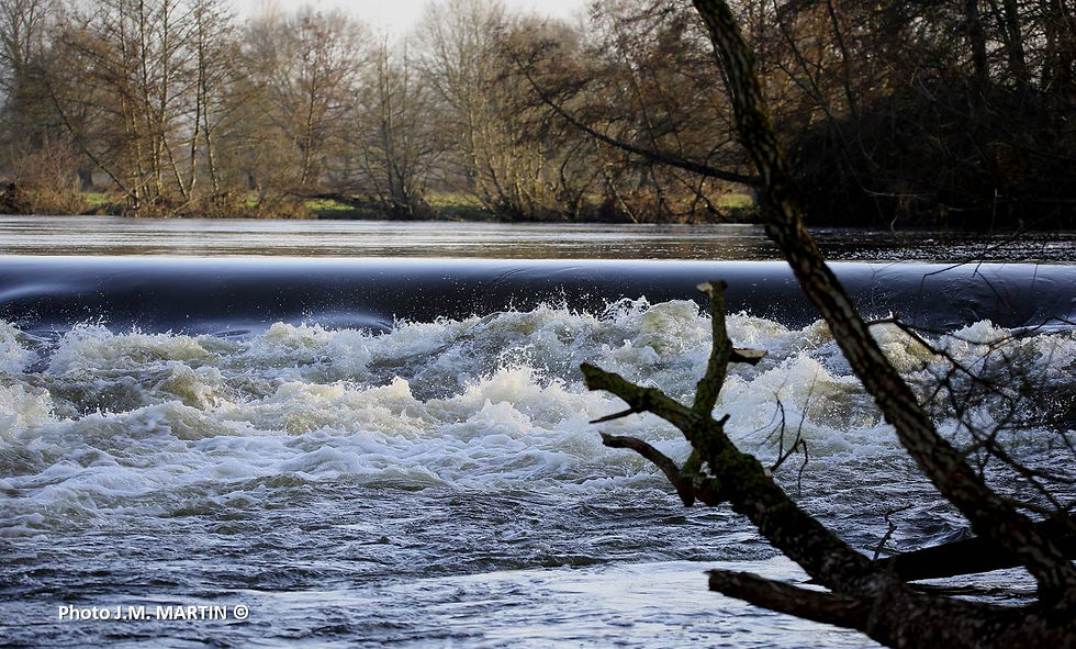 Cher en crue