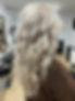 Curly Blonde Hair