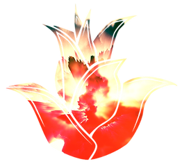 Holistic Mind-Body ANS Course