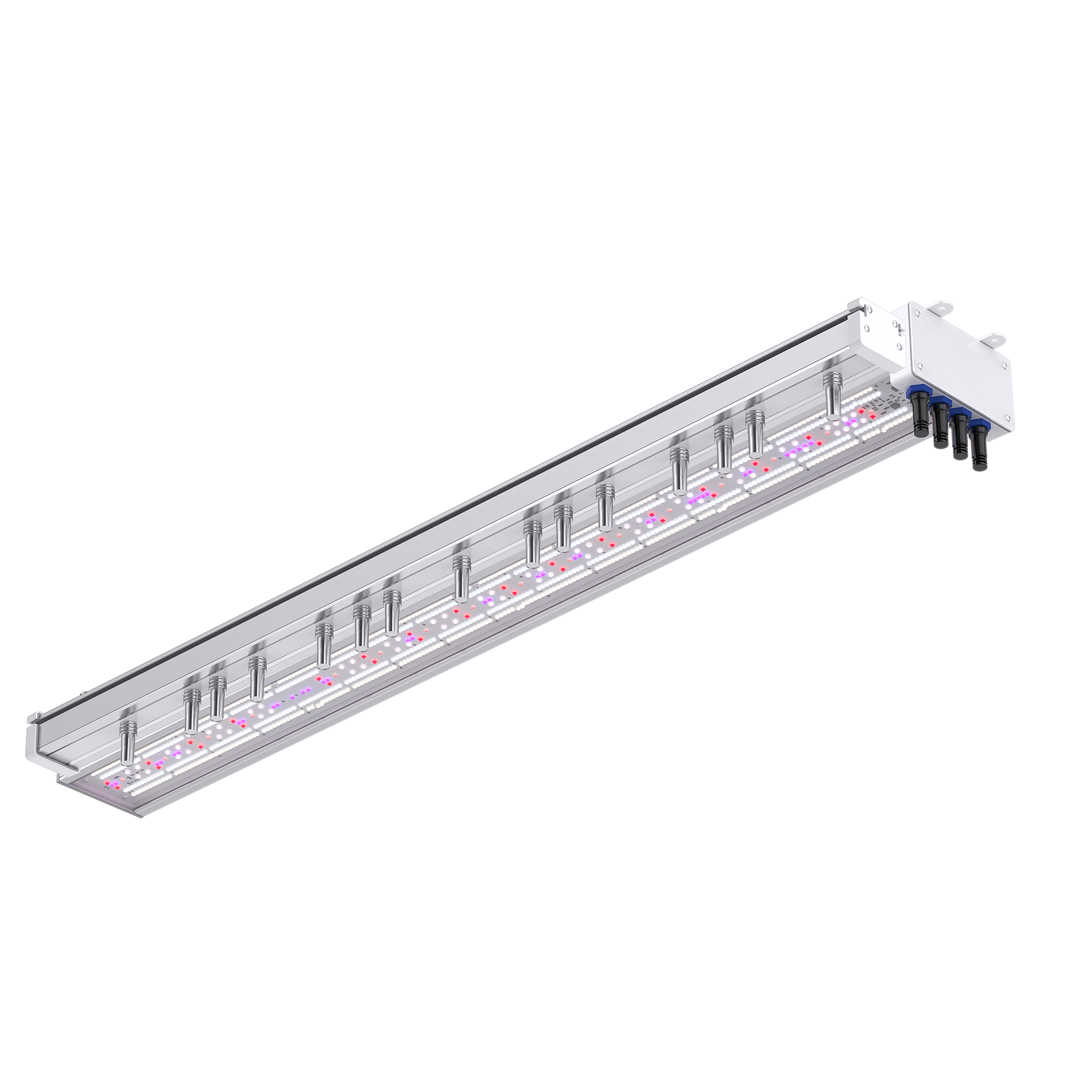 RADBIO-300-SFX(250-300W) Plus Laser system