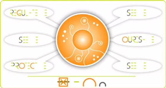 glycobiology.webp