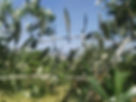 image2(1).jpeg