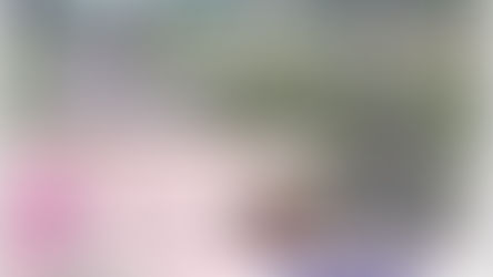 2024ラベンダーまつり