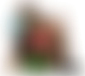 S2P1 The Mysterious Curse