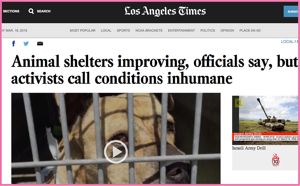 speaking out for shelter pets 6