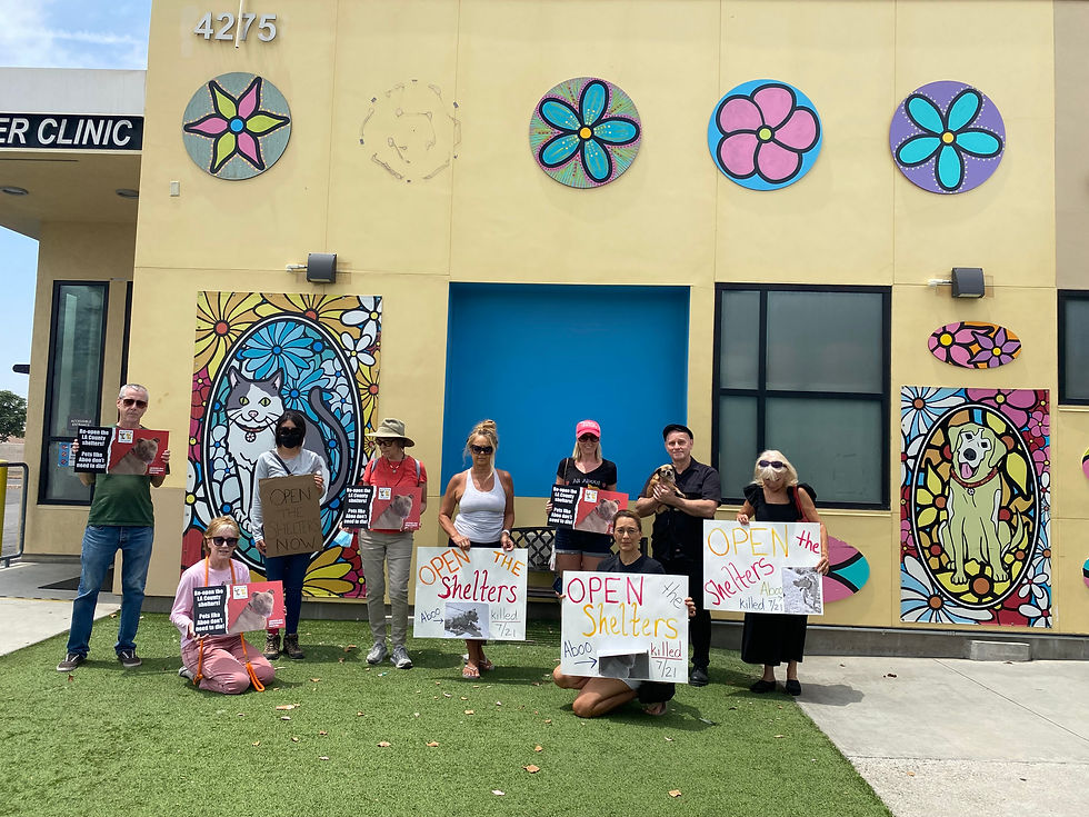 Baldwin shelter protest