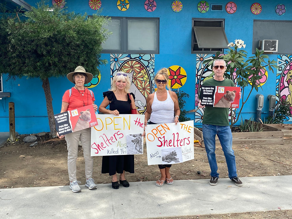 Baldwin shelter protest