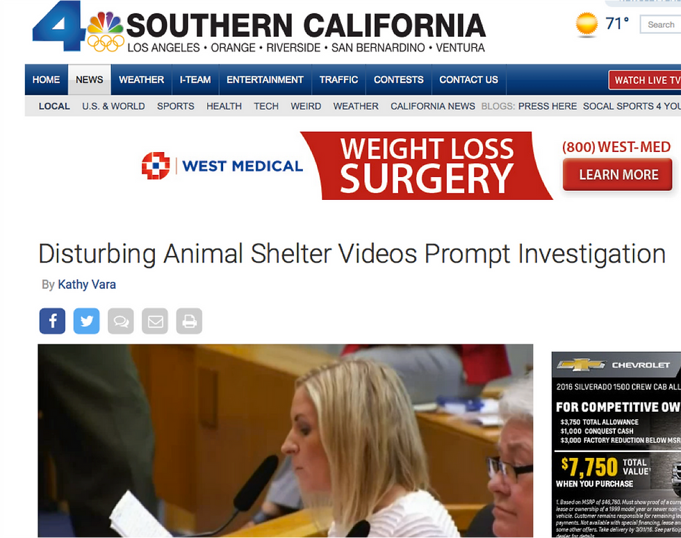 speaking out for shelter pets 1