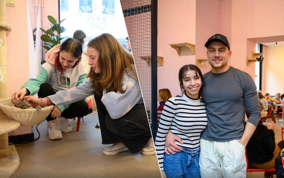 krantartikel HLN Catcafé Antwerp