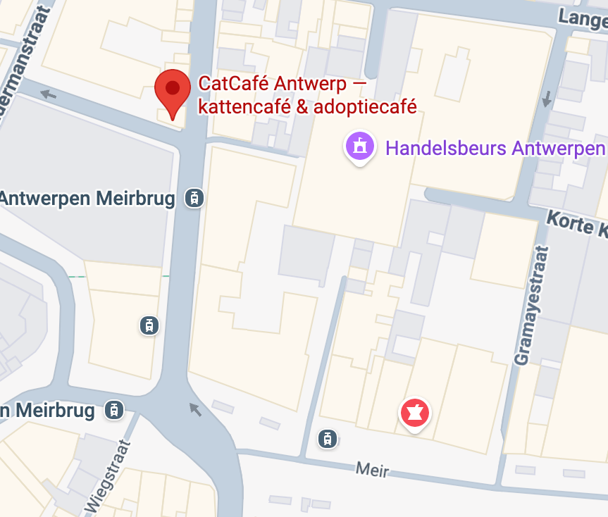 Google maps Catcafé Antwerp.png