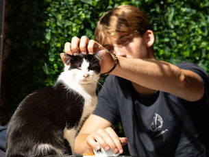 🐾 Zo maak je kennis met onze katten: tips voor een geslaagd bezoek aan Catcafé Antwerp