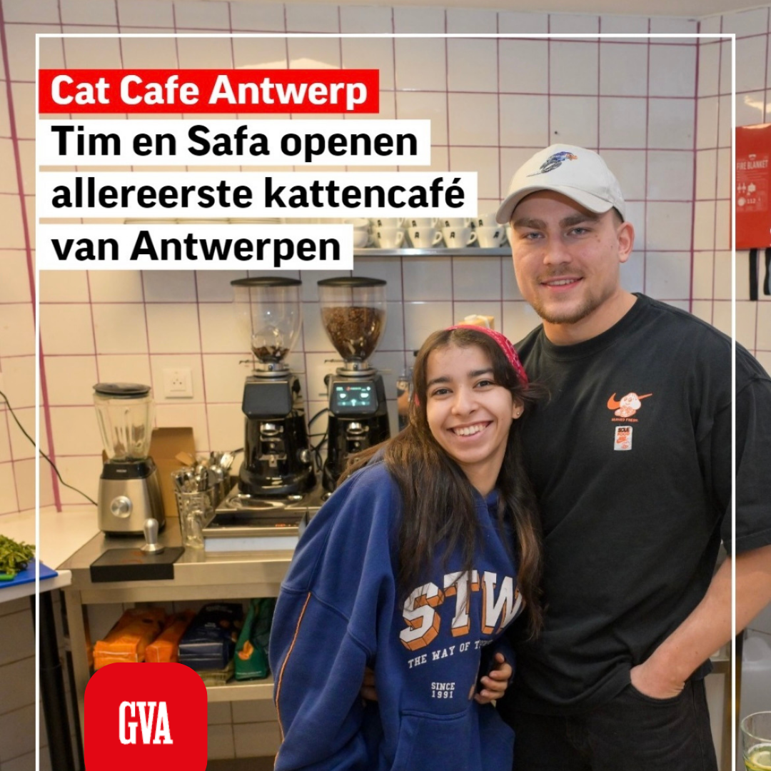 Hoe Catcafe Antwerp ontstond – van een koffiedroom tot een adoptiemissie