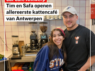 🐾 Hoe Catcafe Antwerp ontstond – van een koffiedroom tot een adoptiemissie