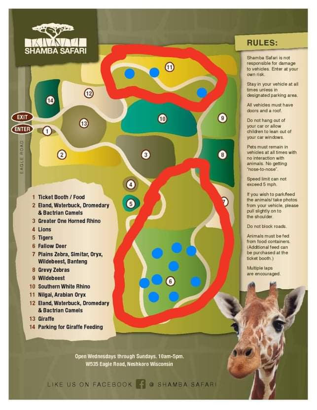 Up to 20 nonnative prairie dogs loose at Wisconsin's Shamba Safari