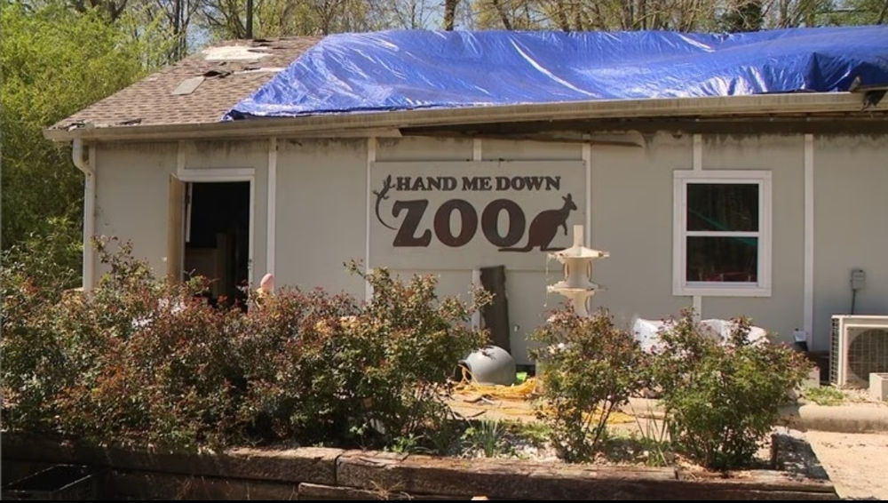 60 animals burned alive at Hand Me Down Zoo in after repeat