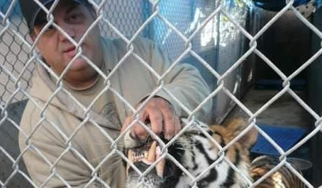 Bear wrestling, animal exploitation and death by asphyxiation: The strange story of Sam Mazzola