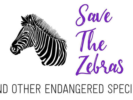 Maryland couple fraudulently fundraises off of viral zebra escape