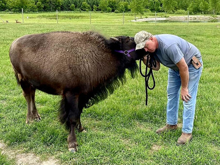 Rustic Retreat Deer Park cited with six animal welfare violations