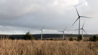 Carbon could become a ‘new CSG driver’