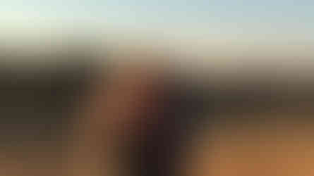 The Ritz-Carlton Ras Al Khaimah - Dubai