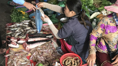 Authentic Cambodian Noodles - Siem Reap