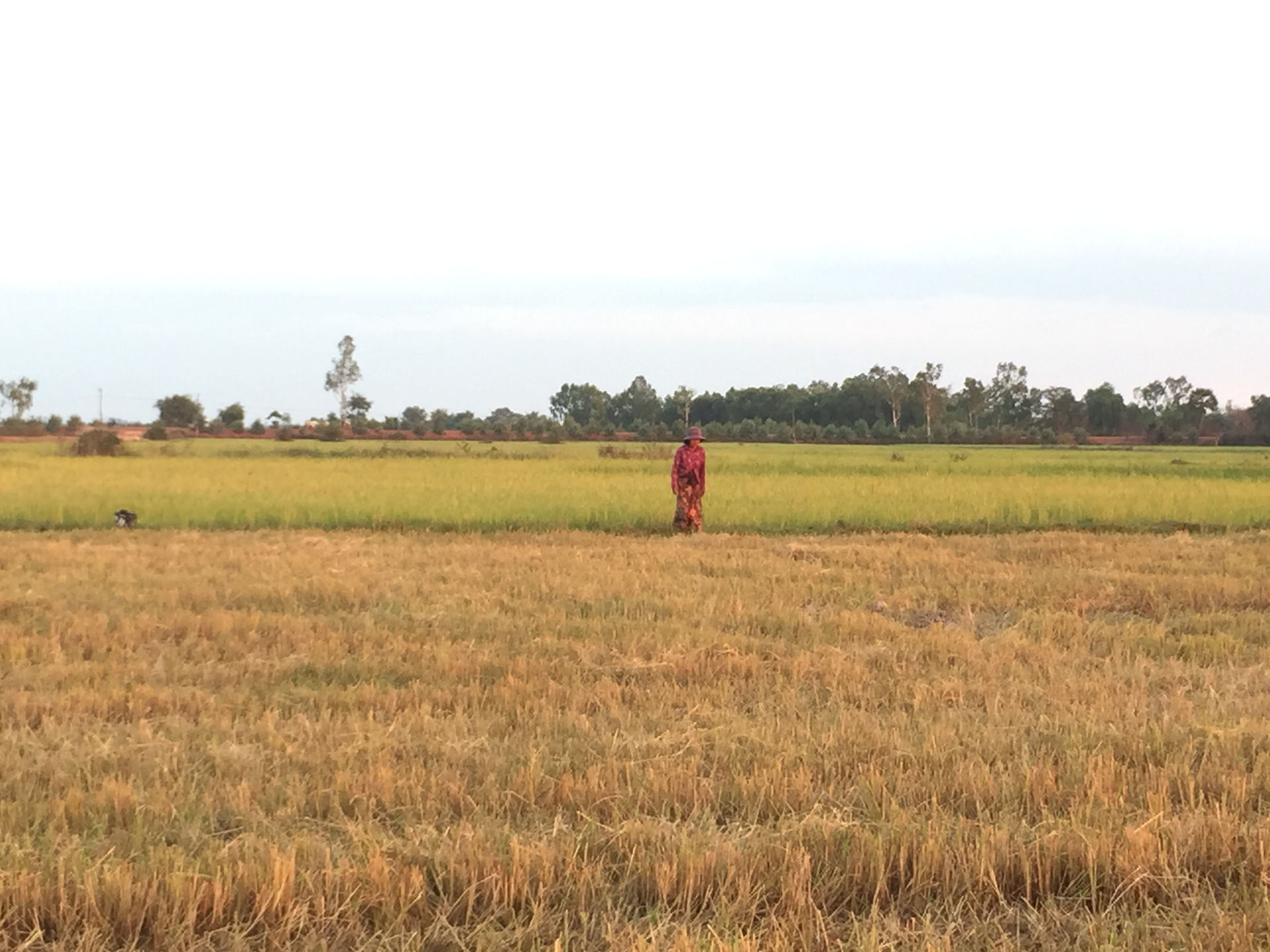A week in Siem Reap - Cambodia