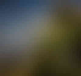 Gardens by the Bay - Singapore