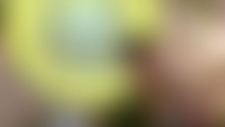 Guzman y Gomez: Building Leaders Without Blowing the L&D Budget