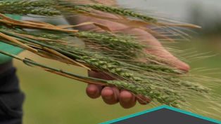 Rural Q4 2021 Market Insights