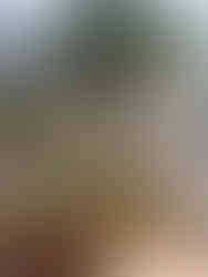 A week in Hanoi - Vietnam