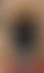 Auberge Chez Pierre - Dades Gorges